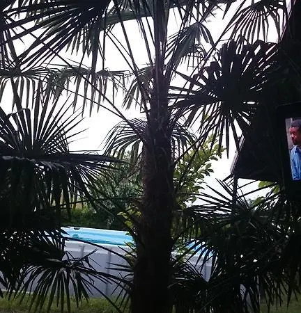 Apartment Aheloy Apartments Aheloy