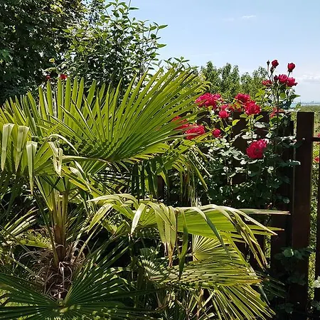 Apartment Aheloy Apartments Aheloy