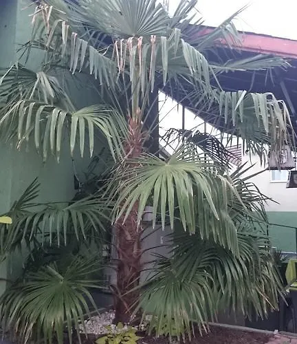 Aheloy Apartments Apartamento *