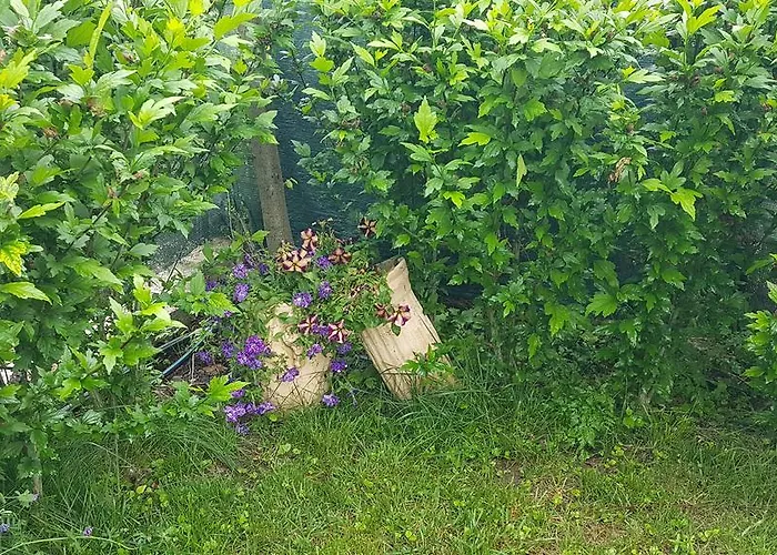 Aheloy Apartments Aheloy