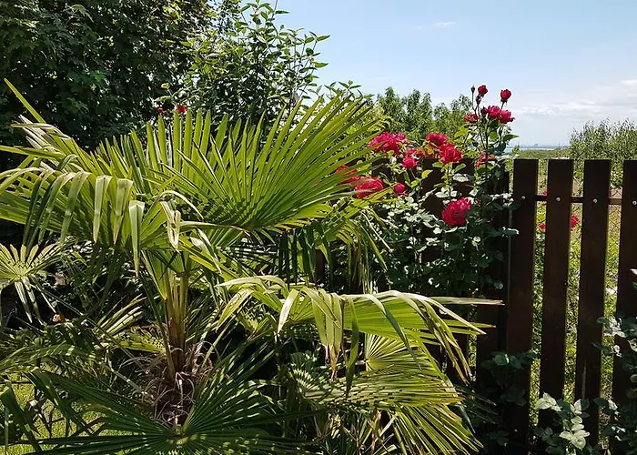 Apartamento Aheloy Apartments Aheloy