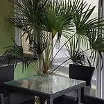 Aheloy Apartments דירה *
