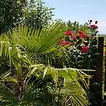 דירה Aheloy Apartments אהלוי