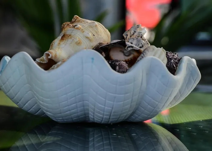 Διαμέρισμα Aheloy Apartments